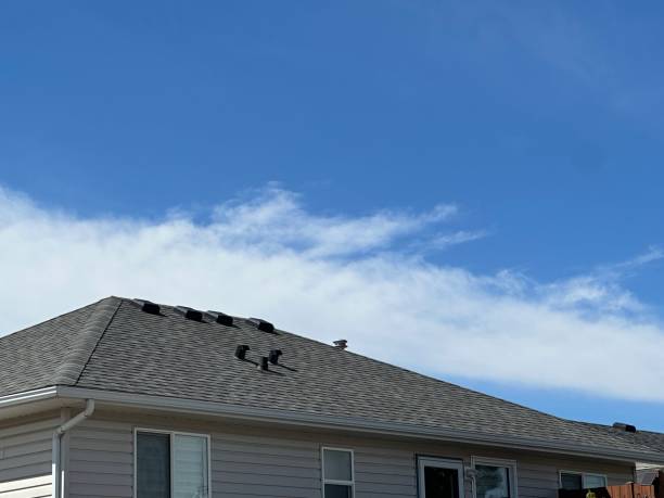 Fast & Reliable Emergency Roof Repairs in Central Park, WA